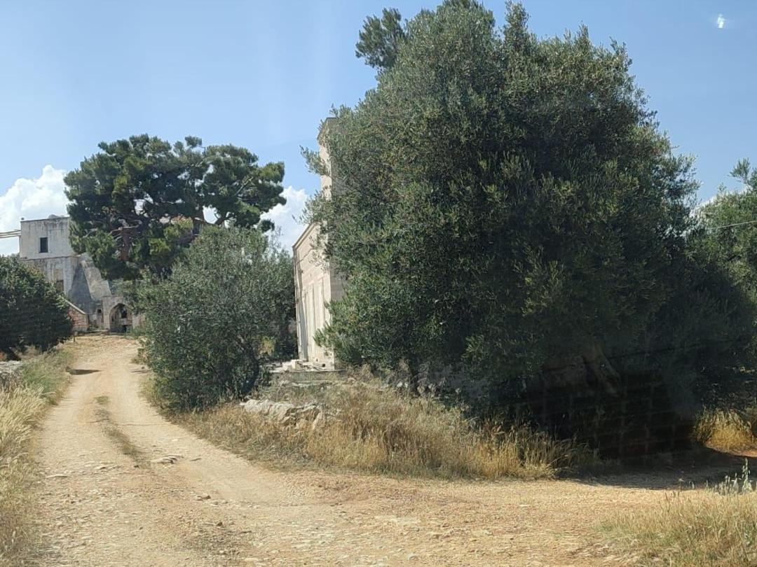 La Guendalina Masseria E Casa Particular Panzió Monopoli Kültér fotó